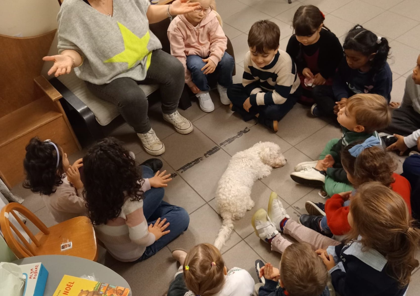 whatsapp image 2026-01-16 at 22.47.24 2